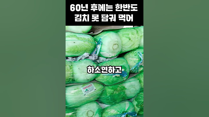 “60년 후에는 김치가 사라집니다” 기후 변화로 배추·무 못 키워 #김장 #김치 #배추