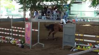 Oaks Pro Contina