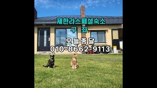 제주도 한달살이 독채 숙소  /1주일/2주살기/보름살이 오늘종달 추천