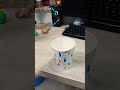 a cupp