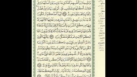 المصحف المرتل برواية حفص عن عاصم الصفحة رقم 45 #القرآن_الكريم #المصحف #اكسبلور #تيك_توك