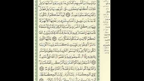 المصحف المرتل برواية حفص عن عاصم الصفحة رقم 45 #القرآن_الكريم #المصحف #اكسبلور #تيك_توك