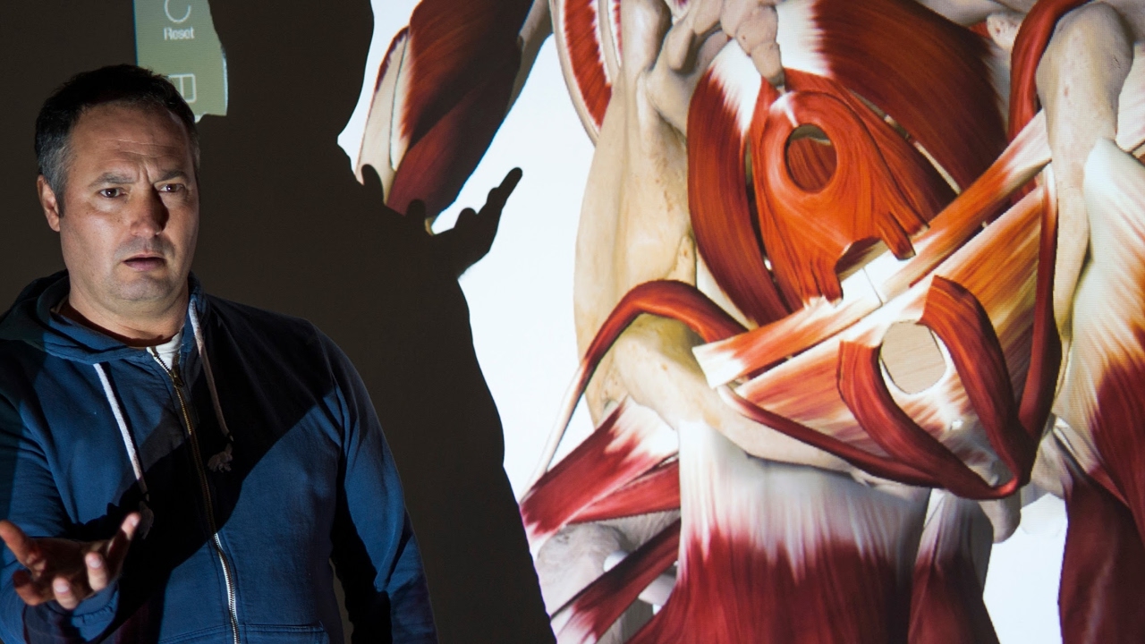 ANALISIS DE ADHO MUKHA SVANASANA