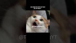 School assembly 😭😂 #cat #funny #cute #school #students #exam #youtubeshorts #youtube  #shorts