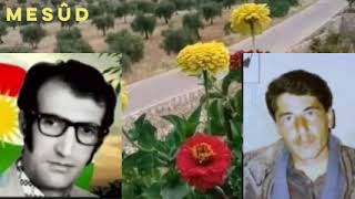 Mihemed Şêxo : Neke Girî Resimi