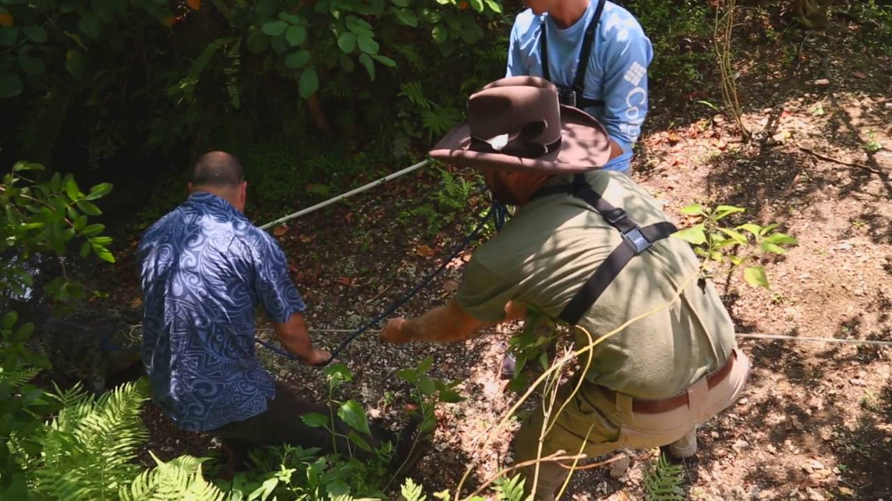 funny video memes Tough Nile Crocodile Capture : Kamp Kenan S3 Episode 38