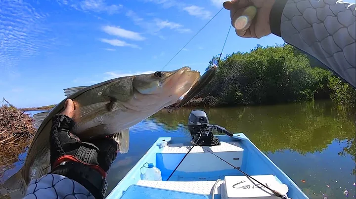 PESCANDO en las RAICES del estero | Lupe Lofish