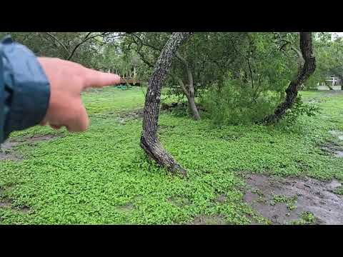 How flooding affects our farm