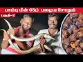 பாம்பு மீன் 65ம் பழைய சோறு கஞ்சியும்-பகுதி 2|SNAKE FISH 65|The RAREST SEVANA FISH Catching & Cooking