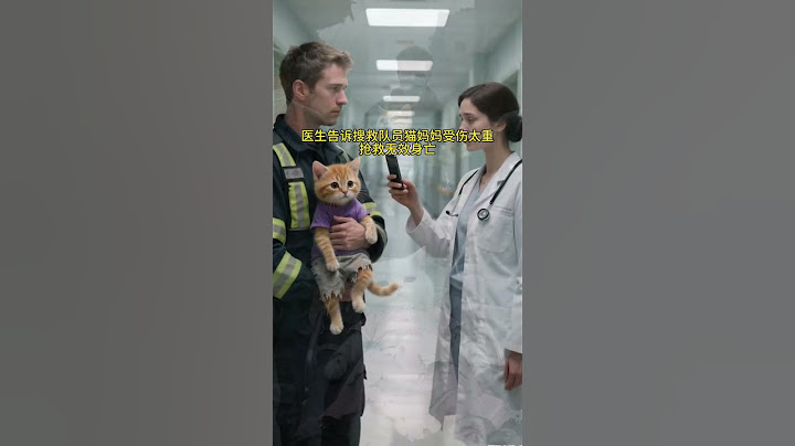 地震中猫妈妈用生命护住了小橘 #cat #funny #喵哥是萌新 #pets #猫咪 #funnycats #cute #治愈 #能量療愈