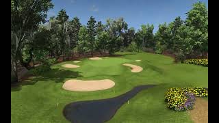 TPC Sawgrass HD - Hole 8