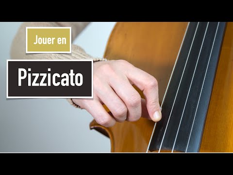Vidéo: Un basson peut-il jouer du pizzicato ?
