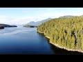 Discover Canada's Great Bear Rainforest