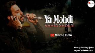 Ya Mehdi - Vahid Shokri Yeni Sinezen 2020 