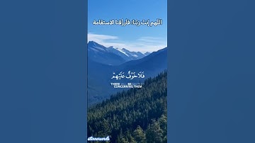 القرآن الكريم تلاوة عذبة مريحة خاشعة راحة نفسية عبد الباسط عبد الصمد سورة فصلت#اكسبلور #لايك#هدوء