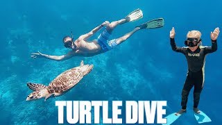FOURYEAROLD TAKES OFF LIFE VEST WHILE SNORKELING TO FREE DIVE WITH SEA TURTLES IN BONAIRE