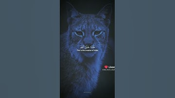 (هذا خلق الله فأروني ماذا خلق الذين من دونه) تلاوة رائعه للشيخ ياسر الدوسري