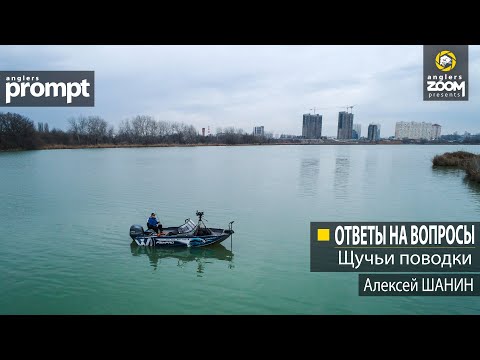 Видео: Задайте вопрос эксперту - Поводок