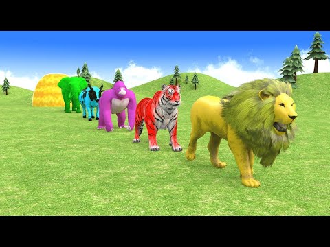 Long Slide Game With Elephant Gorilla Buffalo Hippopotamus Tiger - 3d Animal Game 