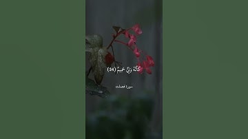 وَمَنْ أَحْسَنُ قَوْلًا مِّمَّن دَعَا إِلَى اللَّهِ || سورة فصلت || علي جابر