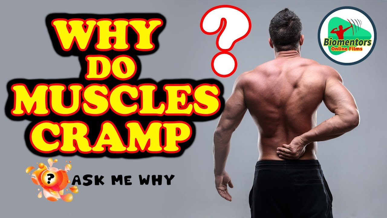 Ask Me Why Why Do Muscles Cramp YouTube ask-me-why-why-do-muscles-cramp-youtube