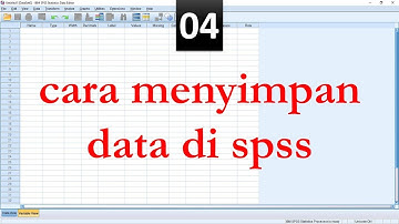 cara save spss
