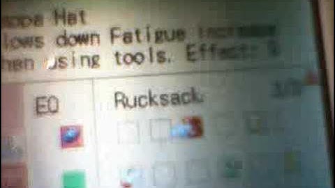 harvest moon ds GLITCH,CHEAT