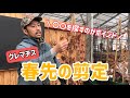 【園芸】2月頃から作業!春先の剪定を徹底解説