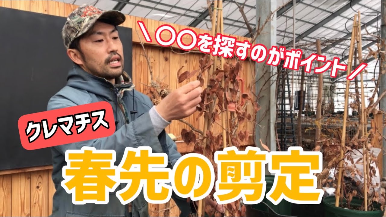 【園芸】2月頃から作業！春先の剪定を徹底解説