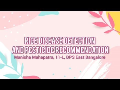 Rice Disease Detection and Pesticide Recommendation project – Manisha Mahapatra, Aanya K, Loyolo