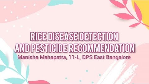 Rice Disease Detection and Pesticide Recommendation project – Manisha Mahapatra, Aanya K, Loyolo