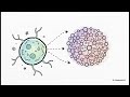 Emergent Info Ledger