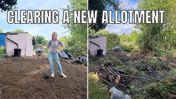 HOW TO CLEAR AN ALLOTMENT/ ALLOTMENT GARDENING FOR VERY BEGINNERS