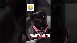 Famous Gotta pass on the message to the cat 😭 Wealth