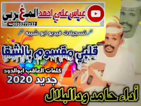 جديد الفنان حامد ودالبلال كلمات الشاعر عثمان العاقب ابو الدود 