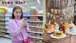 Vlog #267 - Grocery Day + 1st Birthday ni Peanut! by Charm Concepcion 17,770 views 1 year ago 20 minutes