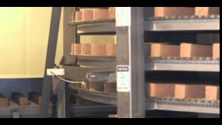 How White Castle Sliders Are Made And Packaged