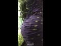 رقص منزلي اغراااء سعودي خليجي 2