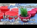 കയ്യിൽ അഴുക്കാകാതെ എളുപ്പത്തിൽ ചെടിച്ചട്ടി ഉണ്ടാക്കാം/How to make  cement flower pot easily /Simple
