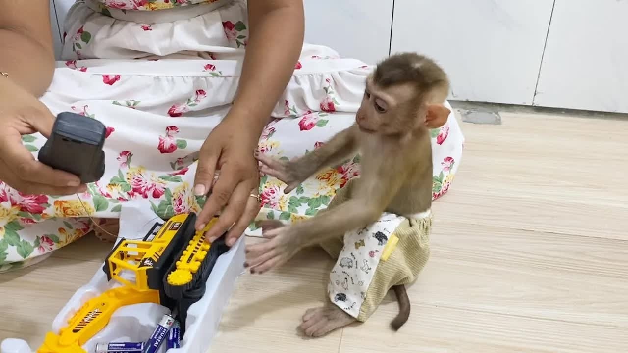 DAM Very Curious Watch Mom Unboxing Car Toy