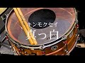 キンモクセイ『真っ白』【Drum Cover】