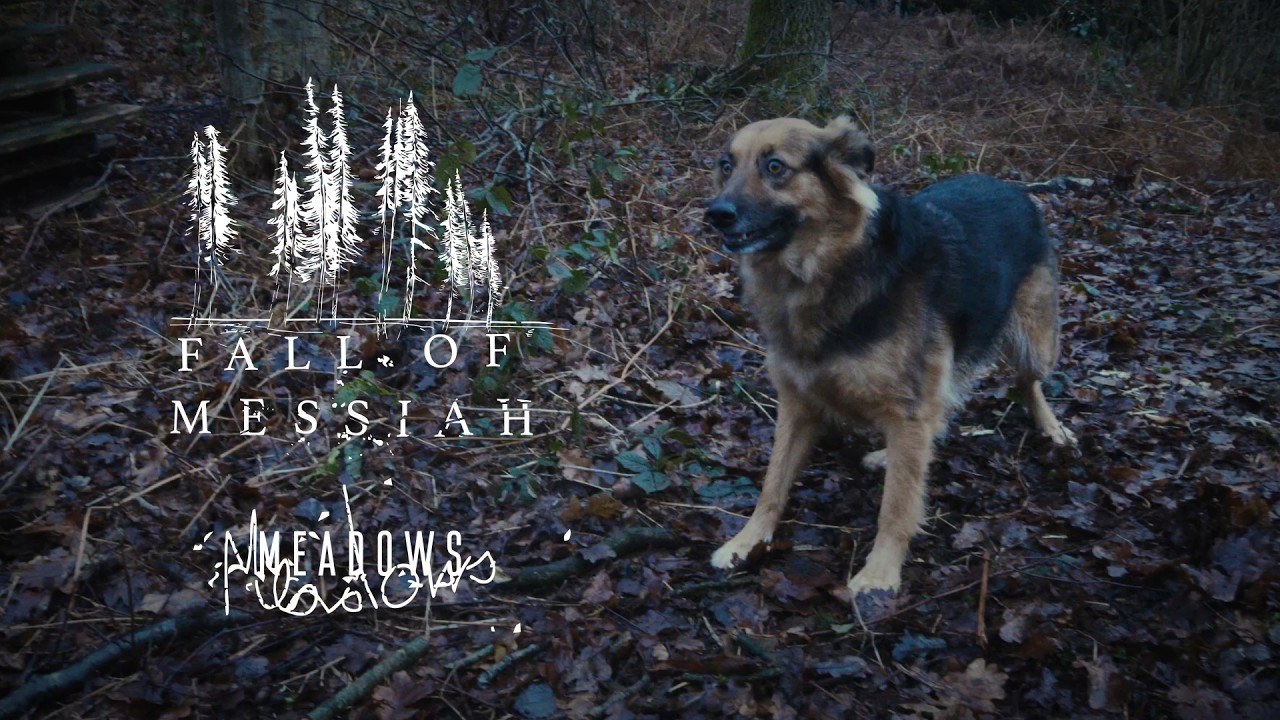Guarda FALL OF MESSIAH - Meadows (official video) su YouTube Guarda FALL OF MESSIAH - Meadows (official video) su YouTube