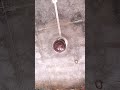 #viral pankha chale to hawa deta hai Gaur se suno