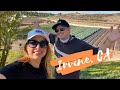 WELCOME to IRVINE CA - ULTIMATE WEEKEND GETAWAY in ORANGE COUNTY #travelvlog