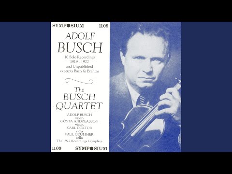 21 Hungarian Dances, WoO 1 (arr. J. Joachim for violin and piano) : No. 2 in D Minor