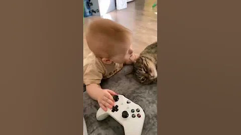 cute baby trying to eat cat's ear # short - DayDayNews