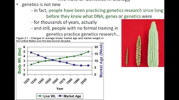 Lecture 1 - Introduction to Genetics