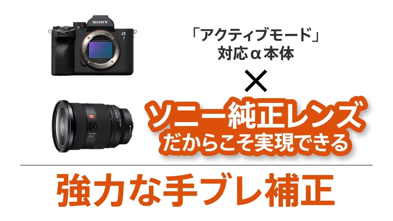 ヨドバシ.com - ソニー SONY SEL1635GM FE 16-35mm/F2.8 [広角ズーム