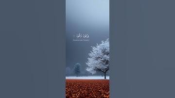 تلاوة من الذكر الحكيم
