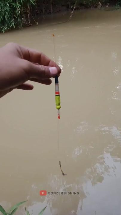 Cara Pasang Umpan cacing yang benar #mancing